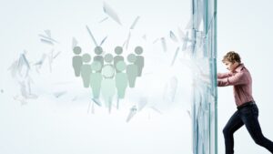 Express Entry Draws
