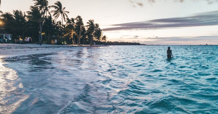 Caribbean Citizenship By Investment