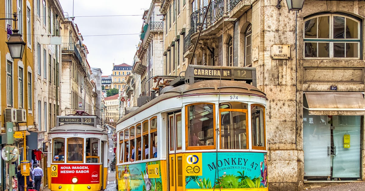 Portugal D7 or D8 visa refusal