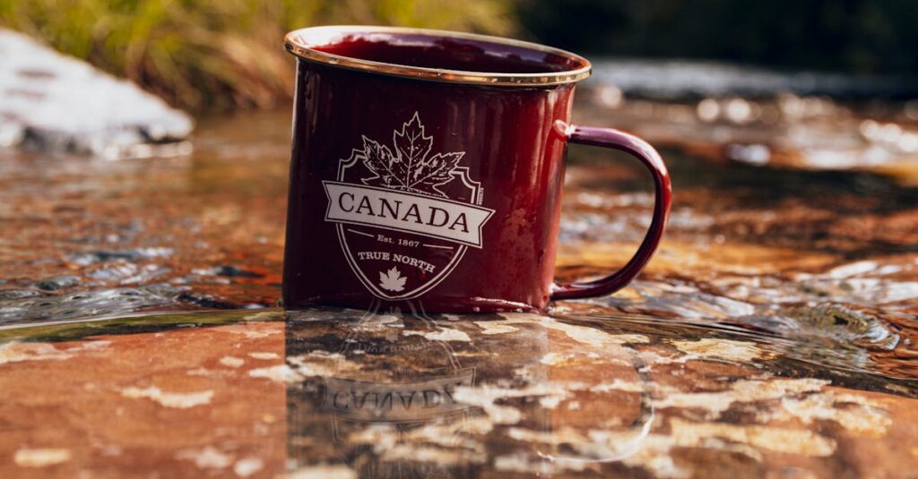 Canada Visa Refusal New Policy Officer's Decision Notes