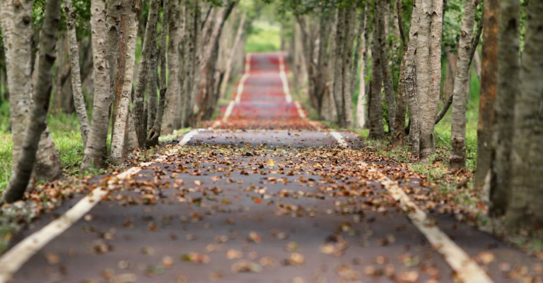 cec-strategic-return-pathway