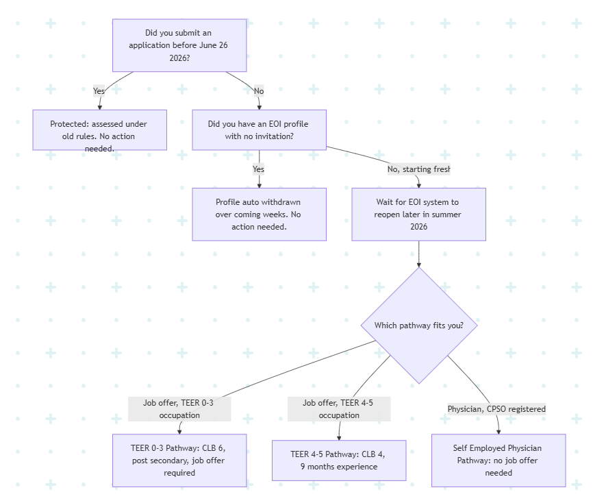Ontario Workforce Priority Stream flowchart: TEER 0-3, TEER 4-5, and Self-Employed Physician pathways for the OWP stream replacing OINP in 2026